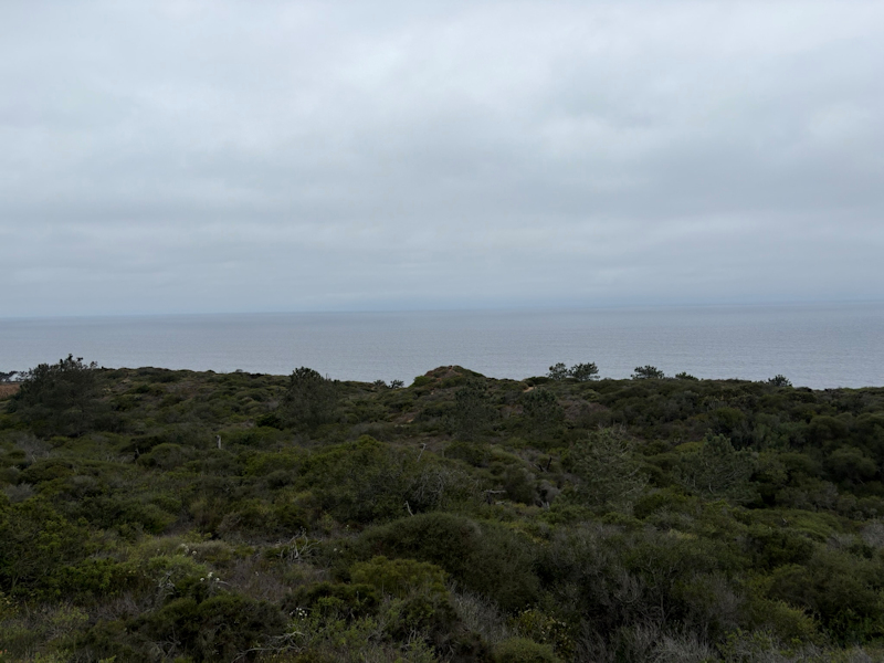 Ocean view on the way